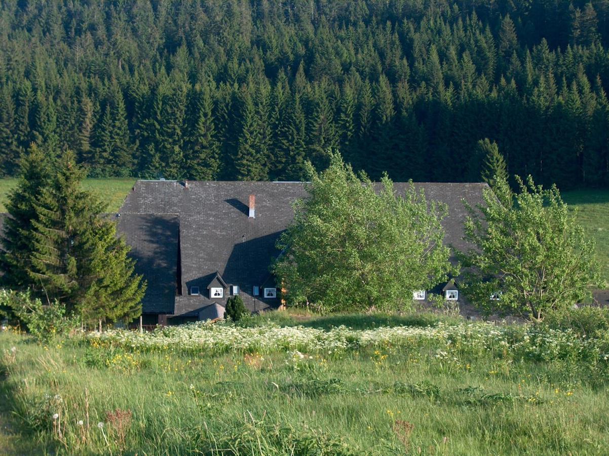 Zur Traube Schwarzwaldhotel & Restaurant Am Titisee Sankt Margen Exterior photo
